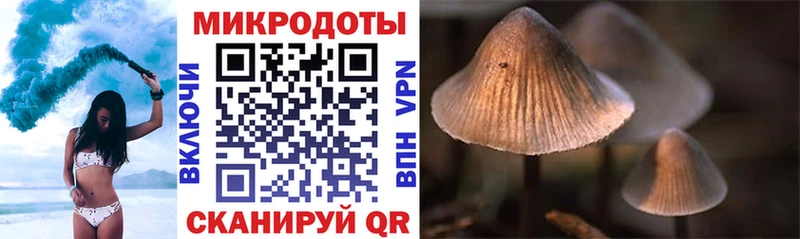 Купить закладки  Высоцк  Галлюциногенные грибы MAGIC MUSHROOMS 